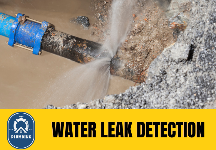 leak detection Bury